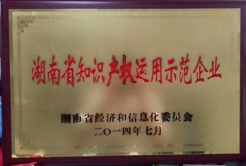 湖南省知识产权使用示范企业