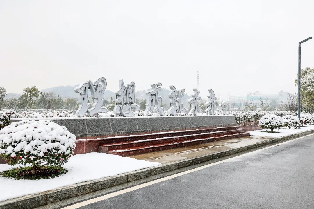 瑞雪兆丰年，，，邀您共赏雪中2138cn太阳集团城！！